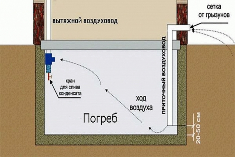 Пошаговое руководство по строительству погреба